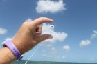 Dateiname=Florida2015_582.jpg
Dateigröße=150KB
Abmessungen: 1200x800
hinzugefügt am: 06. September 2015 Florida2015_582.jpg