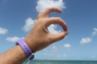 Dateiname=Florida2015_583.jpg
Dateigröße=151KB
Abmessungen: 1200x800
hinzugefügt am: 06. September 2015 Florida2015_583.jpg