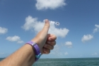 Dateiname=Florida2015_584.jpg
Dateigröße=154KB
Abmessungen: 1200x800
hinzugefügt am: 06. September 2015 Florida2015_584.jpg