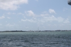 Dateiname=Florida2015_593.jpg
Dateigröße=210KB
Abmessungen: 1200x800
hinzugefügt am: 06. September 2015 Florida2015_593.jpg