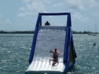 Dateiname=Florida2015_601.jpg
Dateigröße=401KB
Abmessungen: 1200x900
hinzugefügt am: 06. September 2015 Florida2015_601.jpg