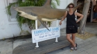 Dateiname=Florida2015_654.jpg
Dateigröße=303KB
Abmessungen: 1200x676
hinzugefügt am: 06. September 2015 Florida2015_654.jpg