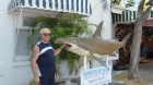 Dateiname=Florida2015_655.jpg
Dateigröße=323KB
Abmessungen: 1200x676
hinzugefügt am: 06. September 2015 Florida2015_655.jpg