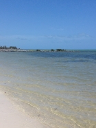 Dateiname=Florida2015_686.jpg
Dateigröße=312KB
Abmessungen: 900x1200
hinzugefügt am: 06. September 2015 Florida2015_686.jpg