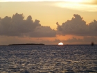 Dateiname=Florida2015_705.jpg
Dateigröße=357KB
Abmessungen: 1200x900
hinzugefügt am: 06. September 2015 Florida2015_705.jpg