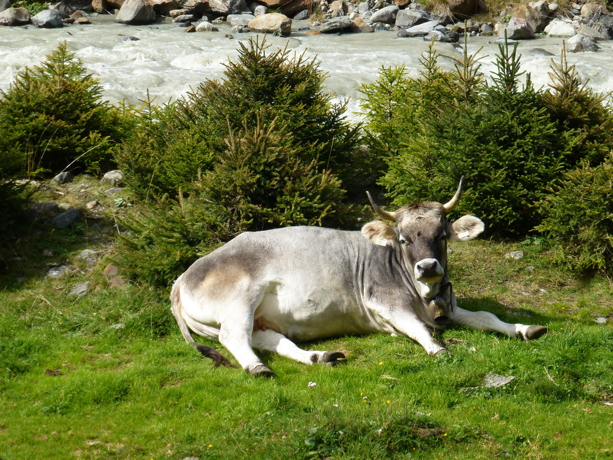 Stubai2015_283.jpg