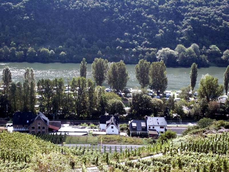 Blick auf die Mosel
